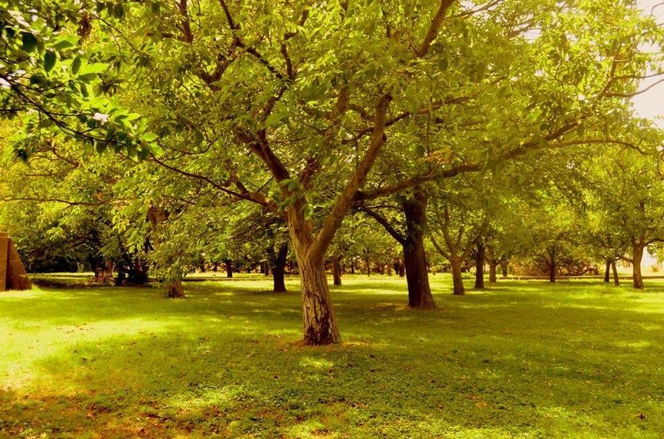 Chacras De Azcona Hosteria أزول المظهر الخارجي الصورة