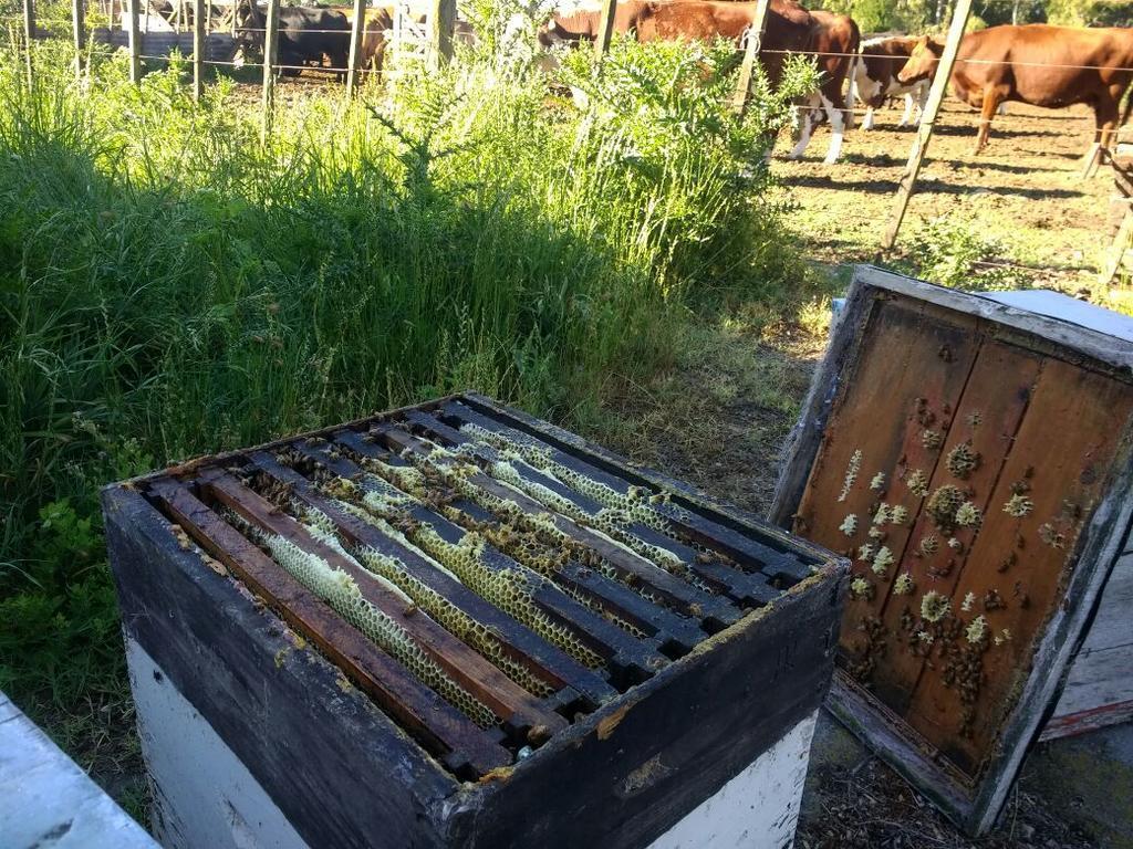 Chacras De Azcona Hosteria أزول المظهر الخارجي الصورة