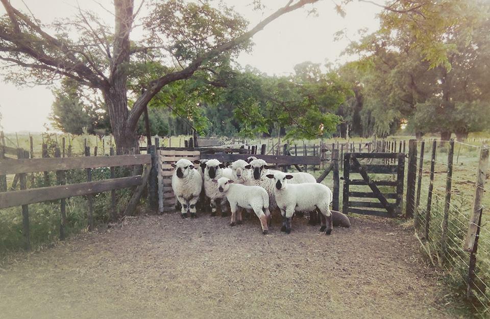 Chacras De Azcona Hosteria أزول المظهر الخارجي الصورة